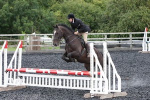 Class 6 - Fences not above 2'9